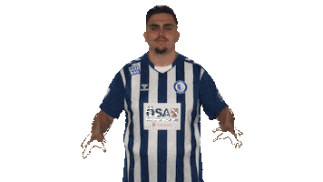 Fc Magdeburg Vbl Sticker by Bundesliga