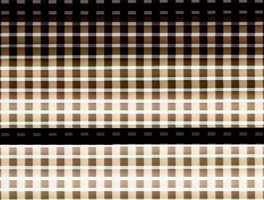 plaid GIF by J. Robinson