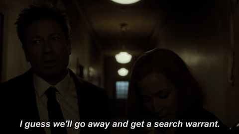 scully believe GIF by The X-Files