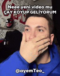 Video Teo GIF
