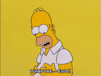 homer simpson water GIF