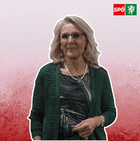 Top Gefällt Mir GIF by SPÖ Steiermark
