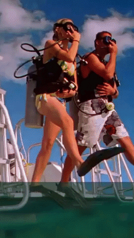 nafabyneerajkumar giphyupload GIF