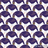 trash doves GIF