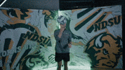 Ndsu Creative GIF by NDSU Athletics