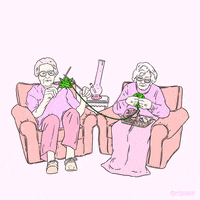 Fox Weed GIF by Animation Domination High-Def