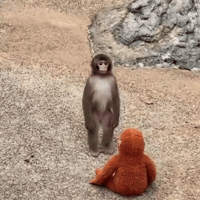 Monkey Dancing GIF by Respective