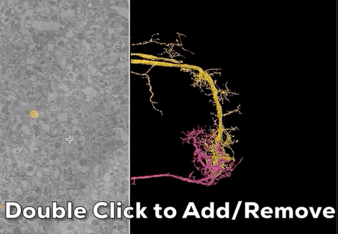 amysterling giphyupload GIF