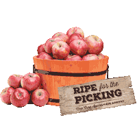 Fall Autumn Sticker by Market Street