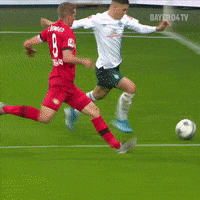 Bundesliga Cheer GIF by Bayer 04 Leverkusen