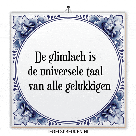Humor Wijsheid GIF by Tegelspreuken.nl