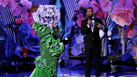 Fox GIF by The Masked Singer