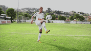 n GIF