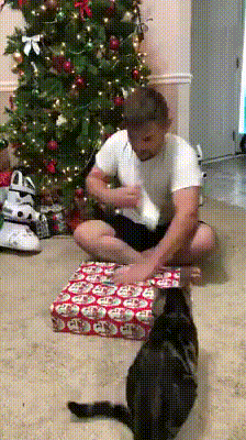 GIF by Demic
