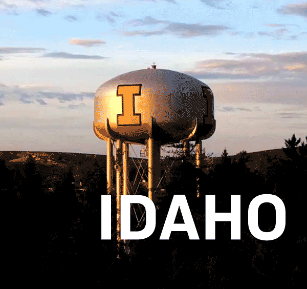 U Of I Boomerang GIF by University of Idaho