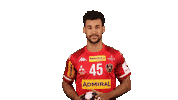 HandballAustria handball ohb handball austria eric damböck Sticker