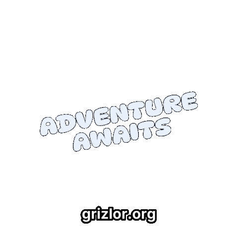 Fun Explore Sticker by grizlor