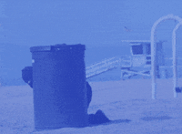 Culturabv GIF by Comunicação banco BV