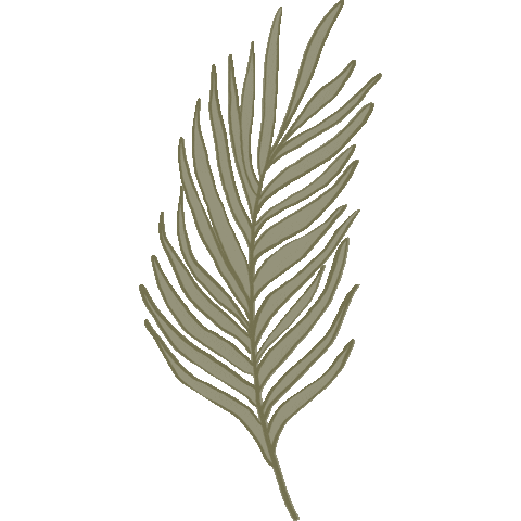 Palm Leaf Plants Sticker by CSM Skin Care
