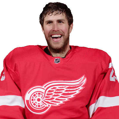 Ice Hockey Sport Sticker by Detroit Red Wings