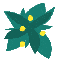 Flower Sticker by Nassau Paradise Island, Bahamas