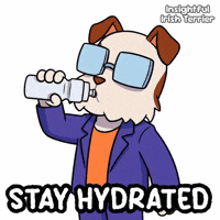 Stay Hydrated Drink Water GIF by VeeFriends