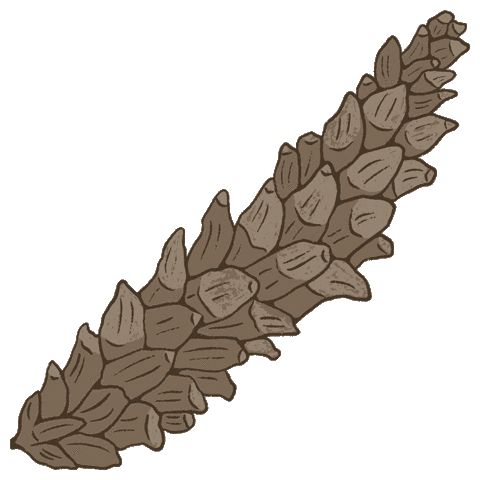 jessnicolehandmade winter forest woodland pinecone Sticker