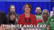Amy Klobuchar Iowa GIF