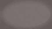 Cal State La Track GIF by Cal State LA Golden Eagles