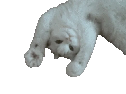 Misaki gif