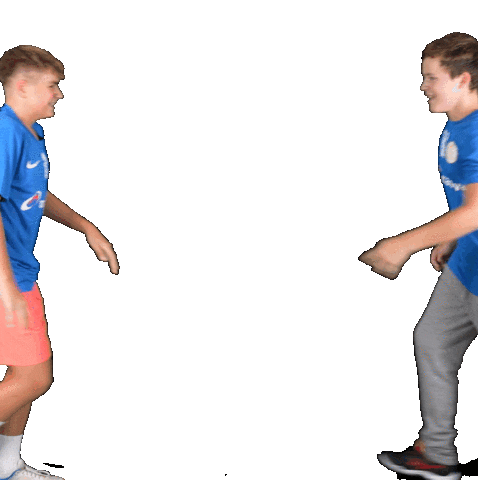 Mc Sticker by THE DOGS - TSV Pfungstadt Handball