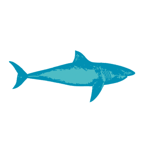 Colecao Sticker by Tip Top