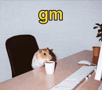 Good Morning Coffee GIF by Binance.US