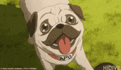 Space Brothers Pug GIF by HIDIVE