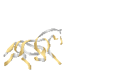 JumpingMechelen horse jumping newyear paard Sticker