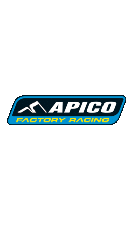 Racing Point Sticker by ApicoFactoryRacing