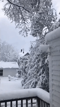 Heavy Snowfall Causes Power Outages in Maine