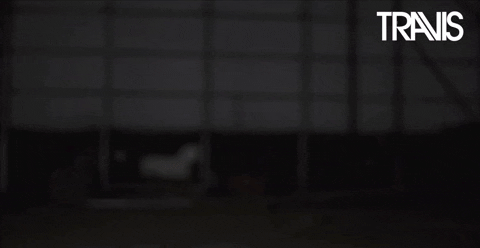 Try Again Stand Up GIF by Travis
