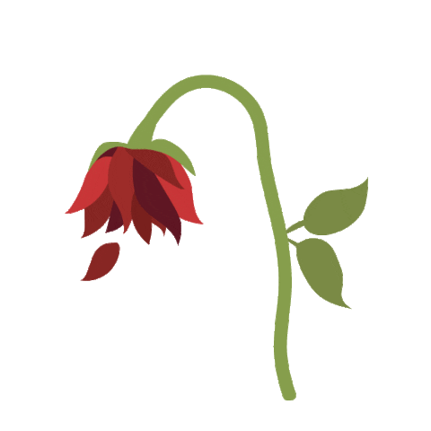 perryrevolution rose avatars ava max one of us Sticker