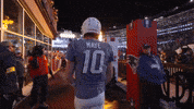 Football Nfl GIF by New England Patriots
