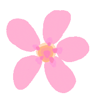Pink Orange Sticker by faithdotart