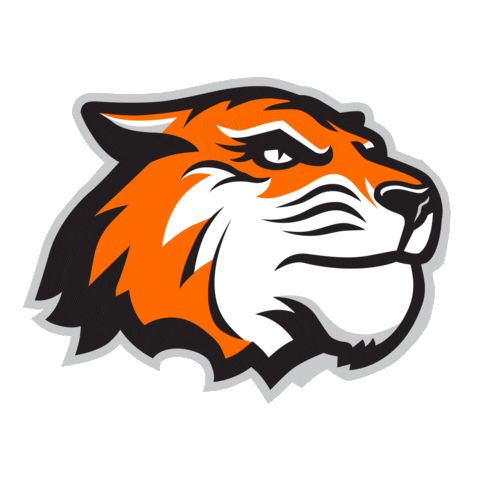 College Tigers Sticker by Rochester Institute of Technology