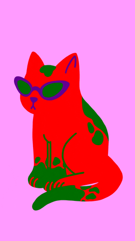 ZeyTheHuman giphyupload cat animation no GIF