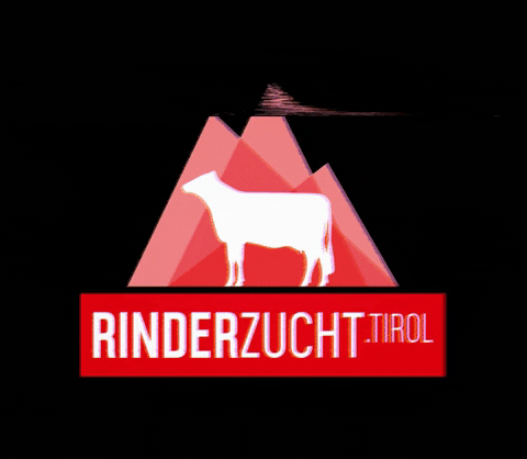 Rinderzucht_Tirol giphygifmaker tirol bauer kuh GIF