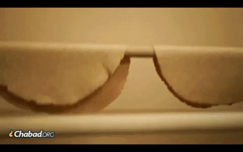 GIF by ChabadYoungHJC