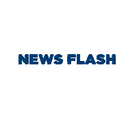 Sg News Flash Sticker by Sansone Group