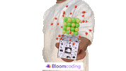 Bloomcoding chimie codingforkids bloomcoding scoaladeprogramare Sticker