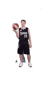 acslsports game basketball ball ready Sticker