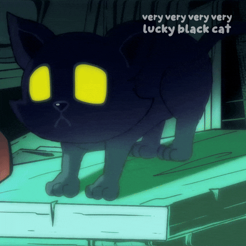 Black Cat GIF by VeeFriends