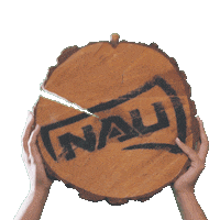 Northern Arizona University College Sticker by NAU Social